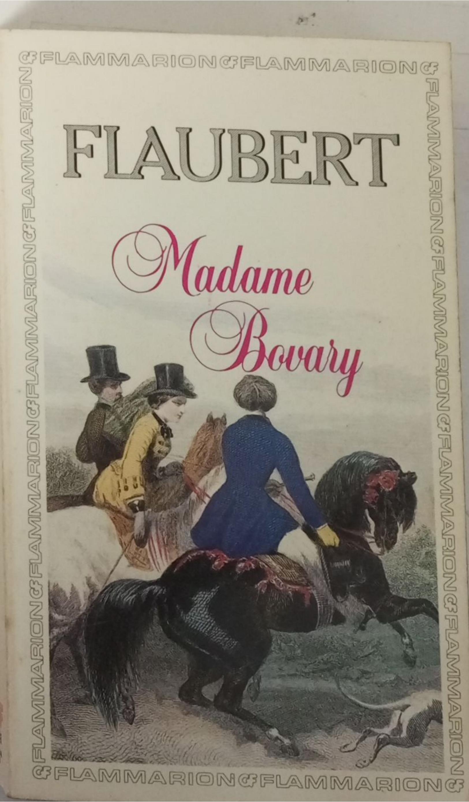 madame Bovary